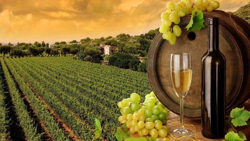 Grand tour of Slovakia DAY 10 Kosice and Tokaj wine (1)