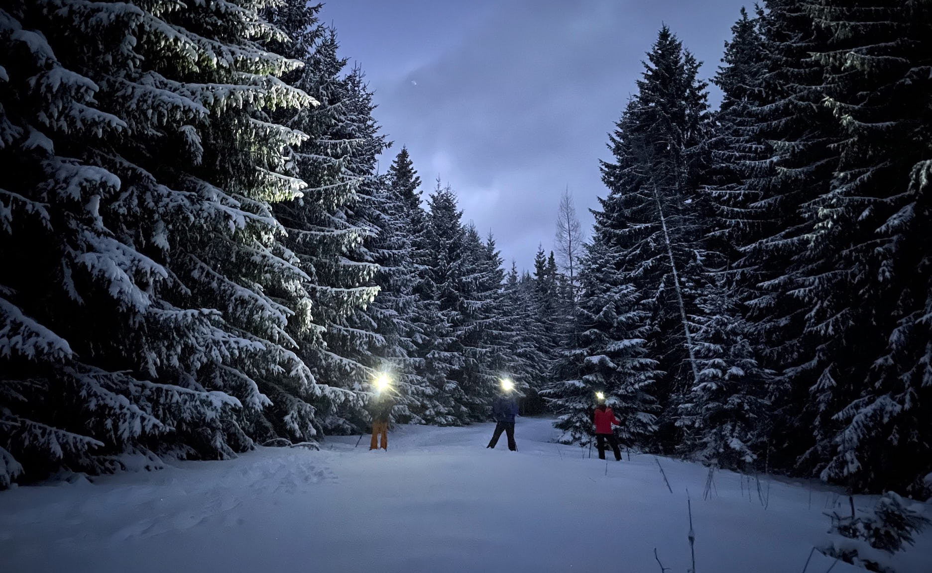 Snowshoeing in Slovakia 17