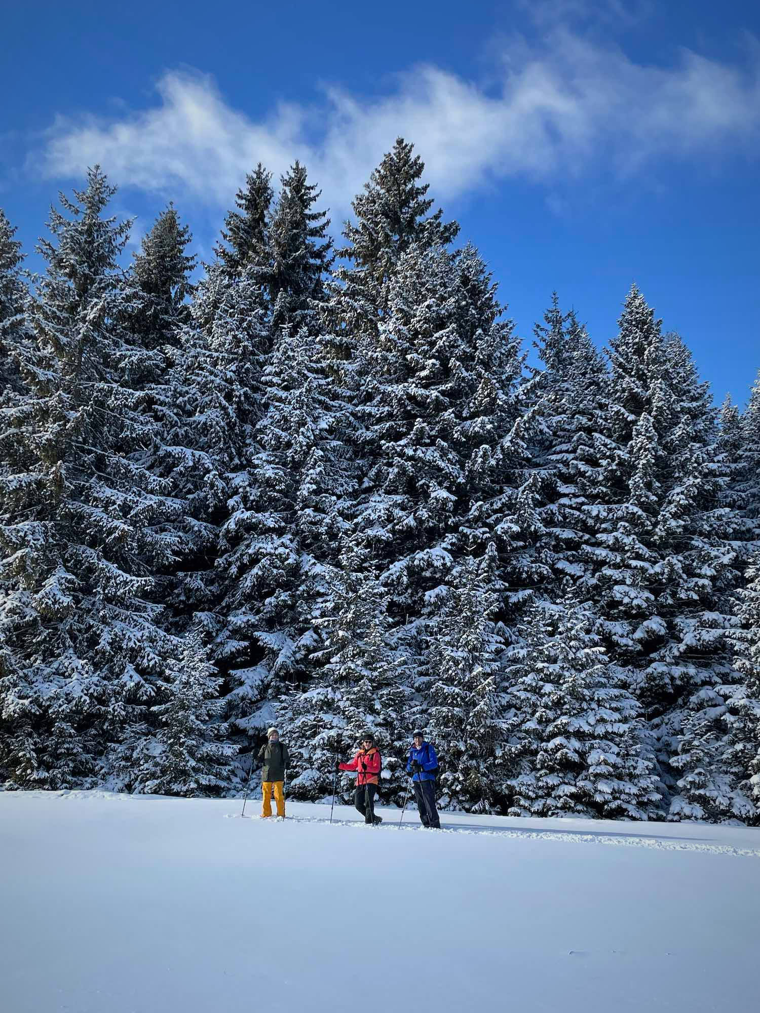 Snowshoeing in Slovakia 23