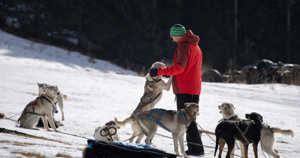 Husky Adventures Jazda so psím záprahom Tatry Slovensko 3