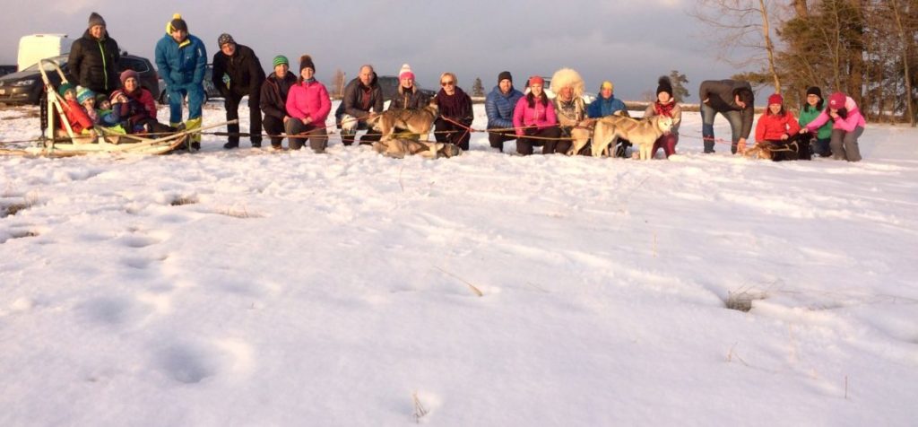 Dog sledding winter adventures with huskies in Slovakia