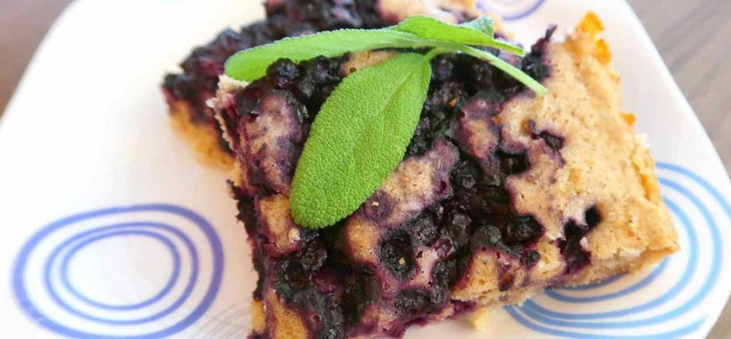 Seasonal blueberry cake – sugar free from Slovakia