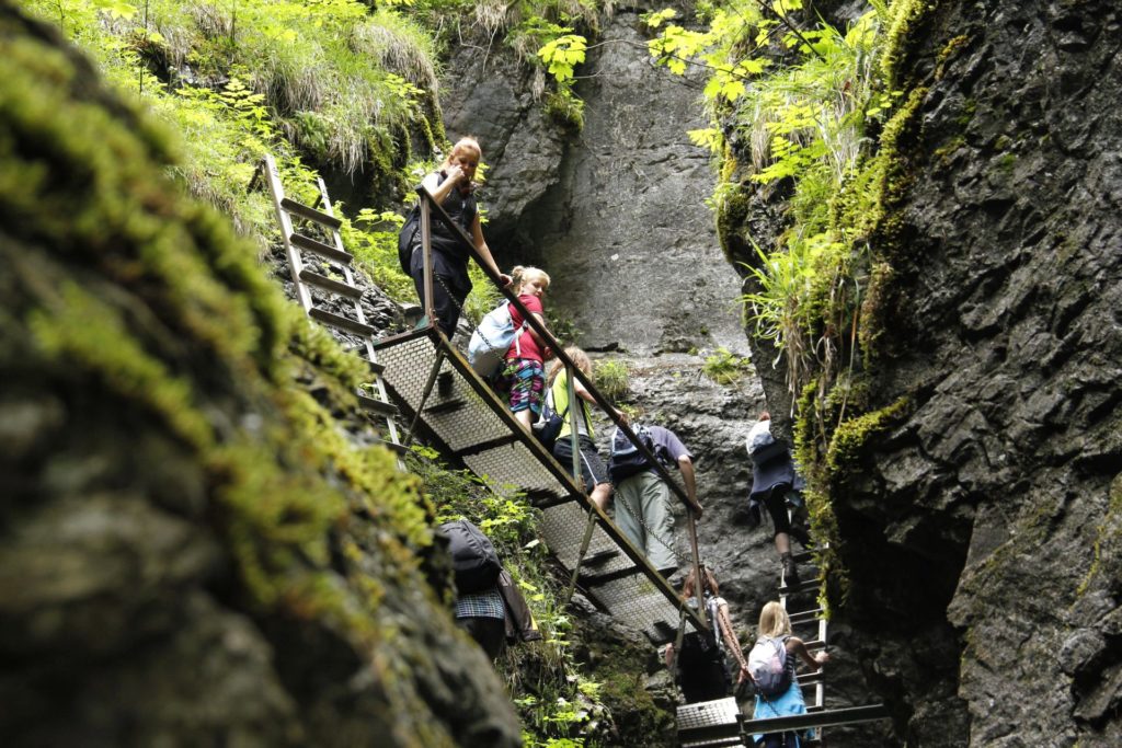 Four national parks tour of Slovakia in week laders is slovak paradise