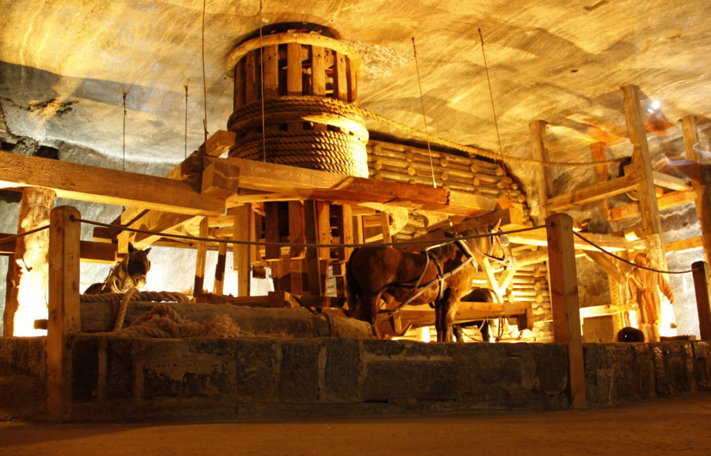 Kraków & Wieliczka Salt Mines 1 day private tour