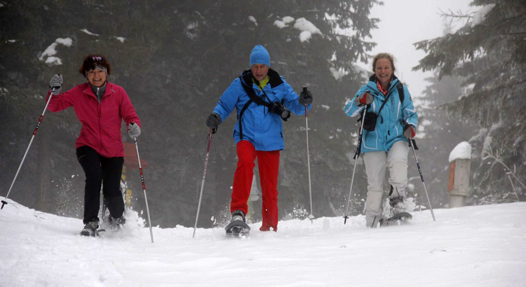 Three friends enjoying a snowshoeing hike through a deep snowy forest, a peaceful activity for anyone looking for what to do in Slovakia during winter.