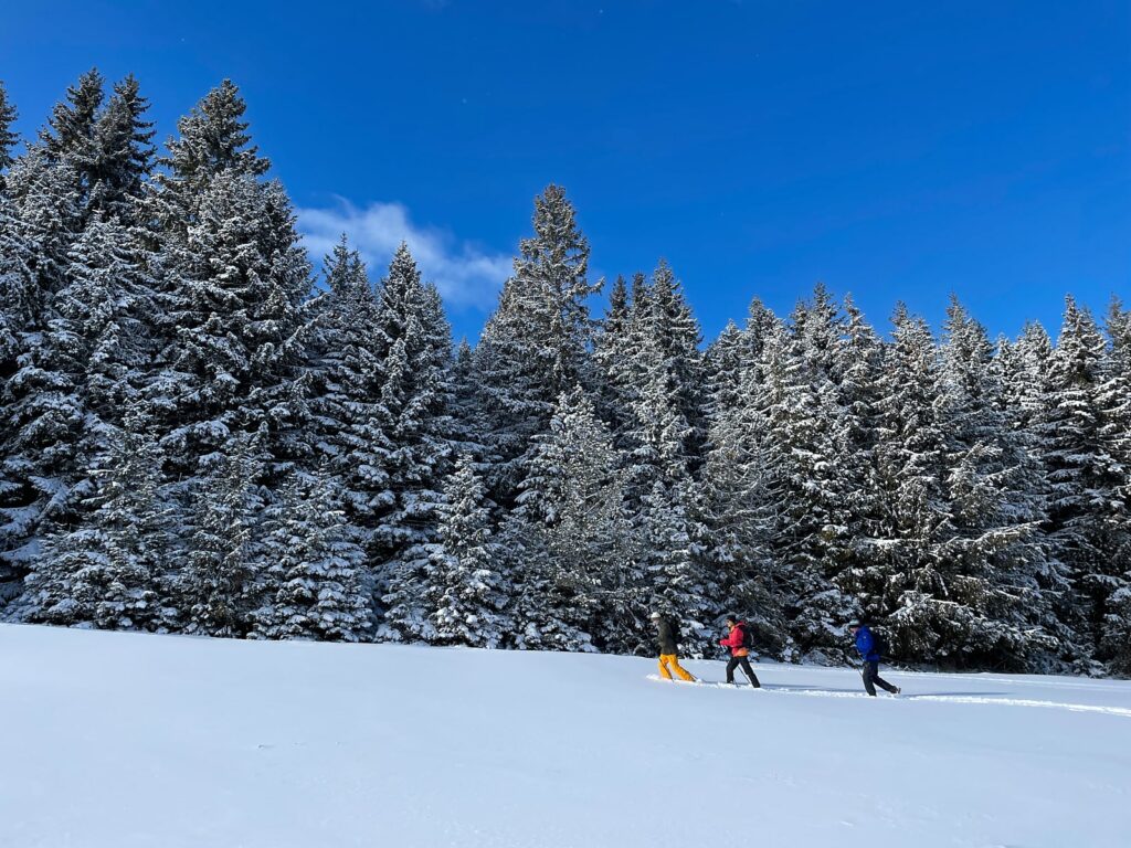No wifi wild Slovak cabin adventure in great winter