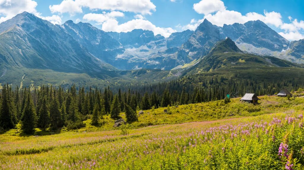 Slovakia Tatra 200 km Ultimate Cycling Loop